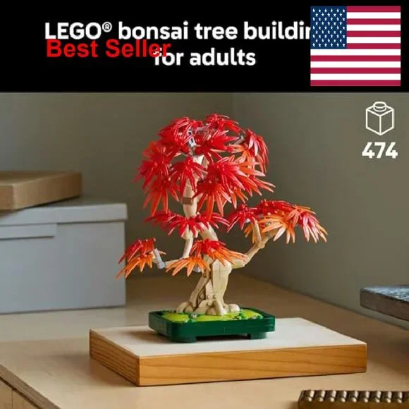 Botanical Bonsai Tree Building Kit Adult DIY Craft Home Decor Unique